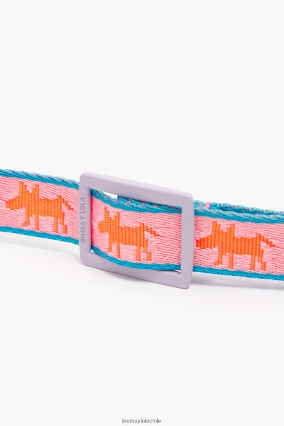 Bimba Y Lola collar para mascota con logo PT6884966 accesorios rosa