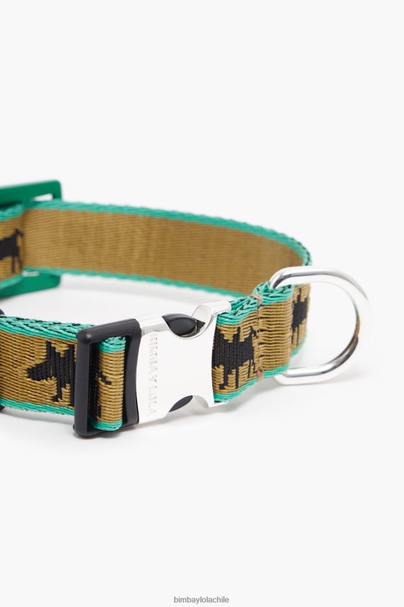 Bimba Y Lola collar para mascota con logo PT6884967 accesorios caqui