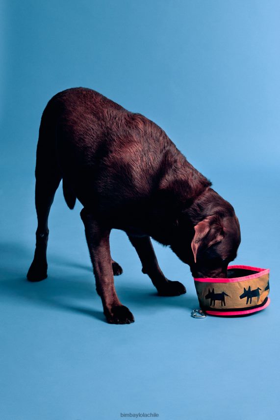 Bimba Y Lola tazón de agua para mascotas con logo PT6884969 accesorios caqui